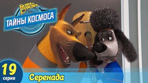 Белка и Стрелка: Тайны космоса 19 серия