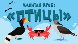 Капитан Краб 37 серия