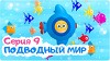 Цып-цып 9 серия