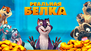 Реальная белка